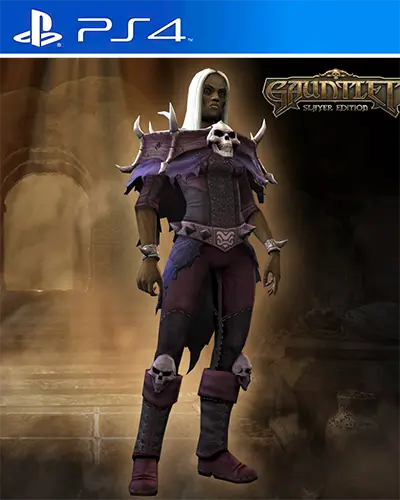 Gauntlet Slayer Edition PS4 PKG